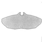 Pastillas de Freno (0075) (114MM) FORD THUNDERBIRD/ MERCURY  93/94