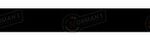 FLEXIBLE FRENO RENAULT 18 TX-GTX-GTL-BREAK-FUEGO TRAS. 340MM