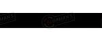 FLEXIBLE FRENO TOYOTA HILUX 02/.. DEL. 360MM.