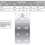 (IGUAL AC/30 -2AGUJ) FORD C1215, 1218, 1313, 1317, 1415, 141