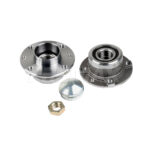 MAZA TRAS C/RULEMAN FIAT DOBLO FIORINO STRADA