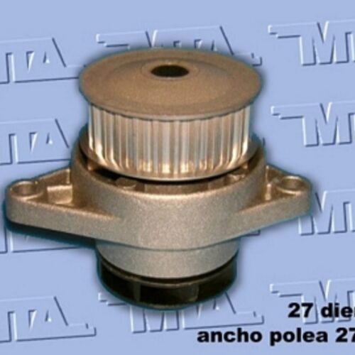 (E452003) (RD-88) BOMBA VOLKSWAGEN POLO/ GOLF 1.4 16V (27 DTES; ALT 21MM)