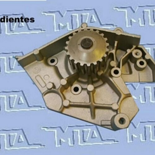 (RD-261) BOMBA PEUGEOT 406/ 605/ 806 2.1 12V (20 DTES)