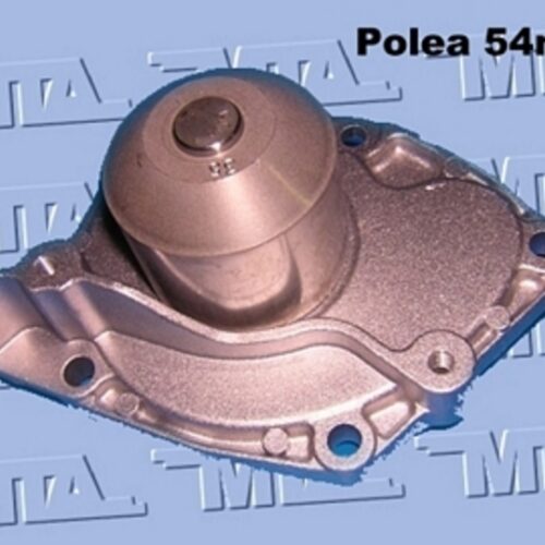 (E702500)(RD-111) BOMBA RENAULT LAGUNA/ MEGANE 1.9 TD (POLEA 54MM)