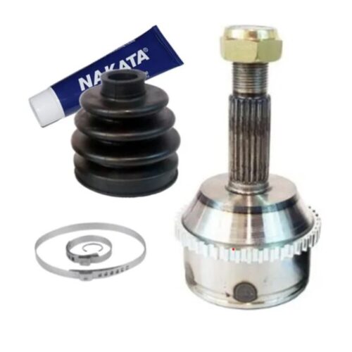 (INT-21/EXT-21) RENAULT CLIO MIO